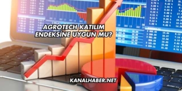 Agrotech Katılım Endeksine Uygun mu?
