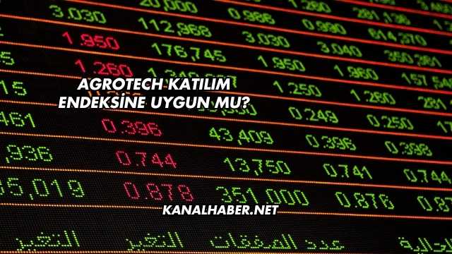 Agrotech Katılım Endeksine Uygun mu?