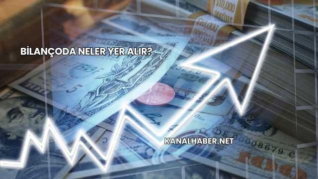 Bilançoda Neler Yer Alır?