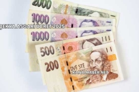Çekya Asgari Ücret 2025