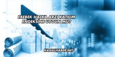 Ebebek Halka Arzı Katılım Endeksine Uygun mu?