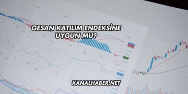 GESAN Katılım Endeksine Uygun mu?