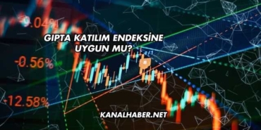 Gıpta Katılım Endeksine Uygun mu?