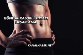 Günlük Kalori İhtiyacı Hesaplama