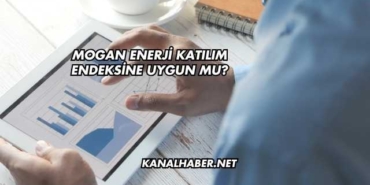 Mogan Enerji Katılım Endeksine Uygun mu?