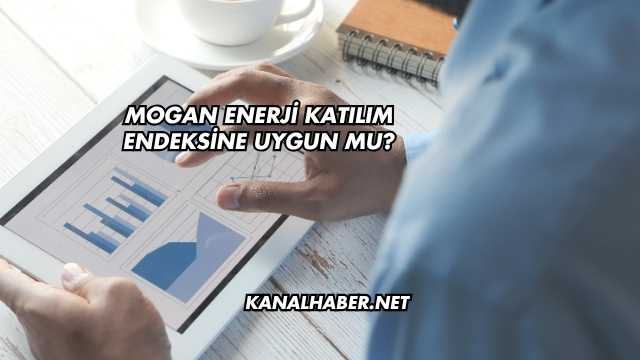 Mogan Enerji Katılım Endeksine Uygun mu?