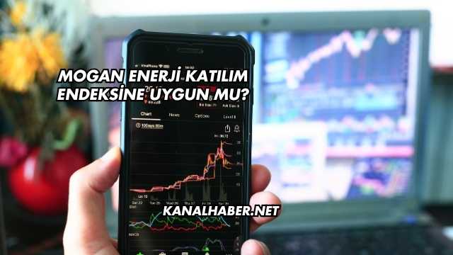 Mogan Enerji Katılım Endeksine Uygun mu?