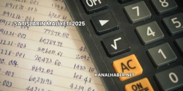 Satışların Maliyeti 2025