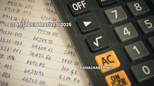 Satışların Maliyeti 2025
