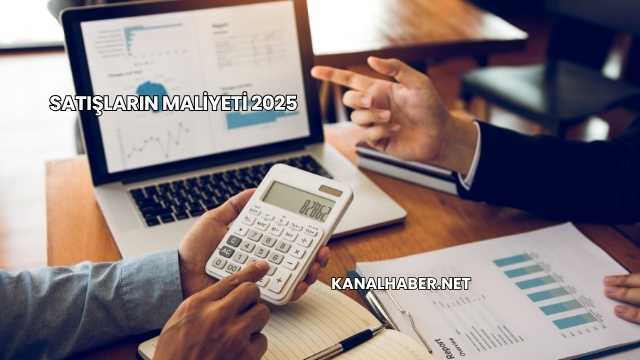 Satışların Maliyeti 2025