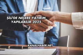 Şili'de Nelere Yatırım Yapılabilir 2025