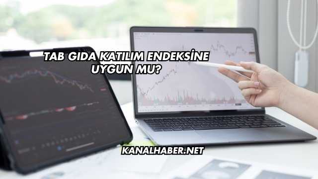 Tab Gıda Katılım Endeksine Uygun mu?