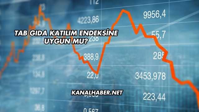 Tab Gıda Katılım Endeksine Uygun mu?