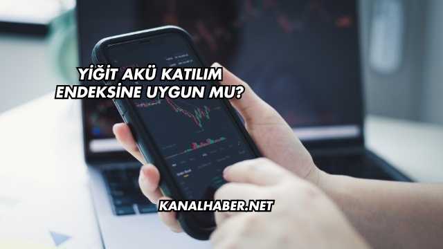 Yiğit Akü Katılım Endeksine Uygun mu?
