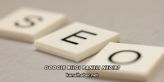Google Bilgi Paneli Nedir?