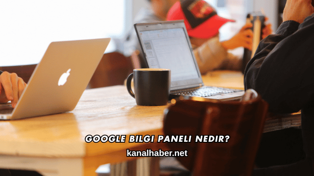 Google Bilgi Paneli Nedir?