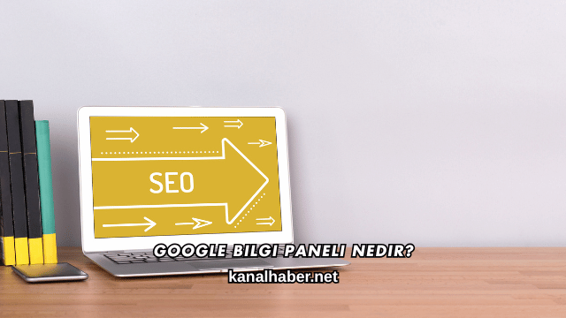 Google Bilgi Paneli Nedir?