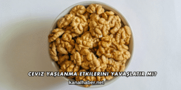 Ceviz Yaşlanma Etkilerini Yavaşlatır mı?