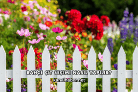 Bahçe Çit Seçimi Nasıl Yapılır?
