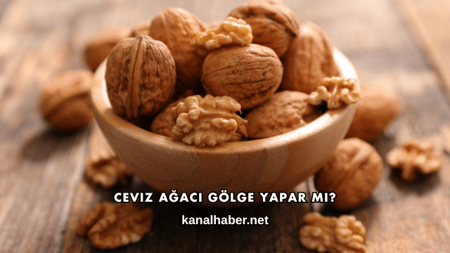 Ceviz Ağacı Gölge Yapar mı?