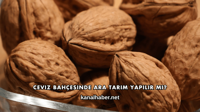 Ceviz Bahçesinde Ara Tarım Yapılır mı?