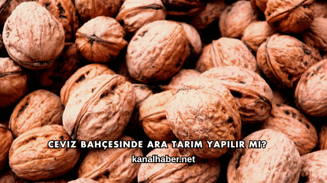Ceviz Bahçesinde Ara Tarım Yapılır mı?