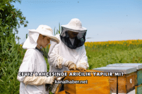Ceviz Bahçesinde Arıcılık Yapılır mı?