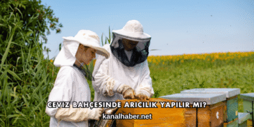 Ceviz Bahçesinde Arıcılık Yapılır mı?