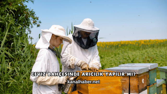 Ceviz Bahçesinde Arıcılık Yapılır mı?