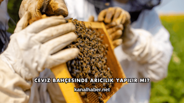 Ceviz Bahçesinde Arıcılık Yapılır mı?