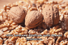 Ceviz Depolama Koşulları Nasıl Olmalı?