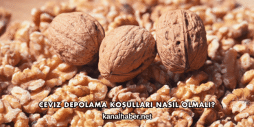 Ceviz Depolama Koşulları Nasıl Olmalı?
