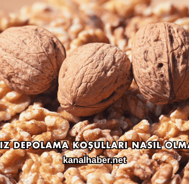 Ceviz Depolama Koşulları Nasıl Olmalı?