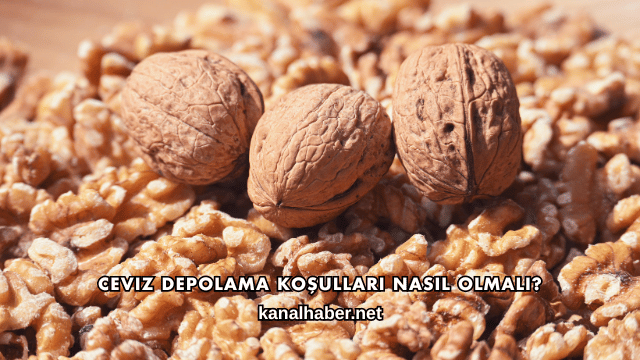Ceviz Depolama Koşulları Nasıl Olmalı?