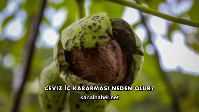 Ceviz İç Kararması Neden Olur?