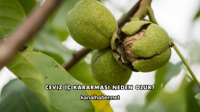 Ceviz İç Kararması Neden Olur?