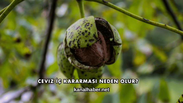 Ceviz İç Kararması Neden Olur?