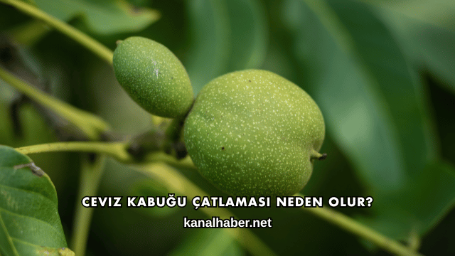 Ceviz Kabuğu Çatlaması Neden Olur?