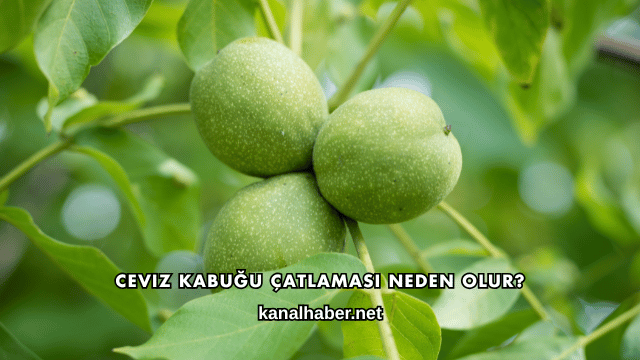 Ceviz Kabuğu Çatlaması Neden Olur?