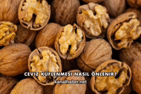 Ceviz Küflenmesi Nasıl Önlenir?