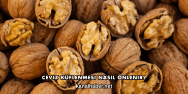Ceviz Küflenmesi Nasıl Önlenir?