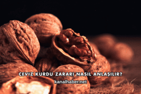Ceviz Kurdu Zararı Nasıl Anlaşılır?