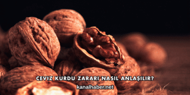 Ceviz Kurdu Zararı Nasıl Anlaşılır?