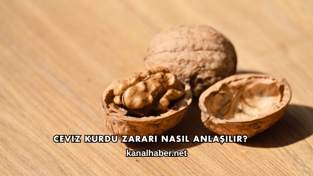 Ceviz Kurdu Zararı Nasıl Anlaşılır?