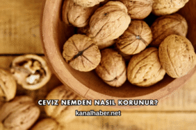 Ceviz Nemden Nasıl Korunur?