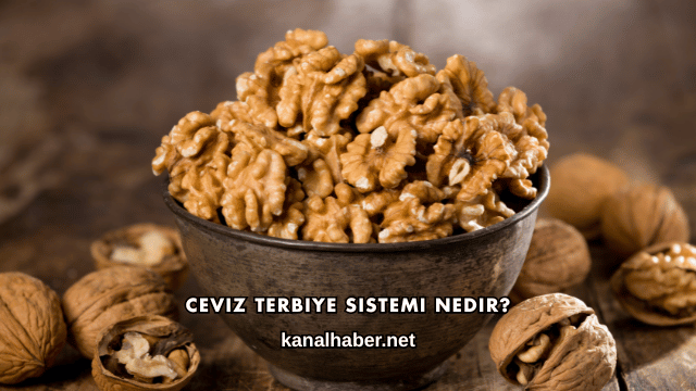 Ceviz Terbiye Sistemi Nedir?