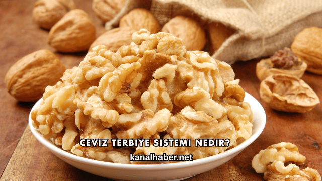 Ceviz Terbiye Sistemi Nedir?