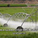 Damla Sulama Sistemi Nasıl Kurulur?
