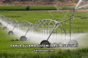 Damla Sulama Sistemi Nasıl Kurulur?