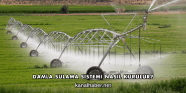 Damla Sulama Sistemi Nasıl Kurulur?